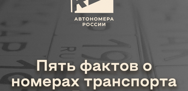 Пять фактов о номерах транспорта в России